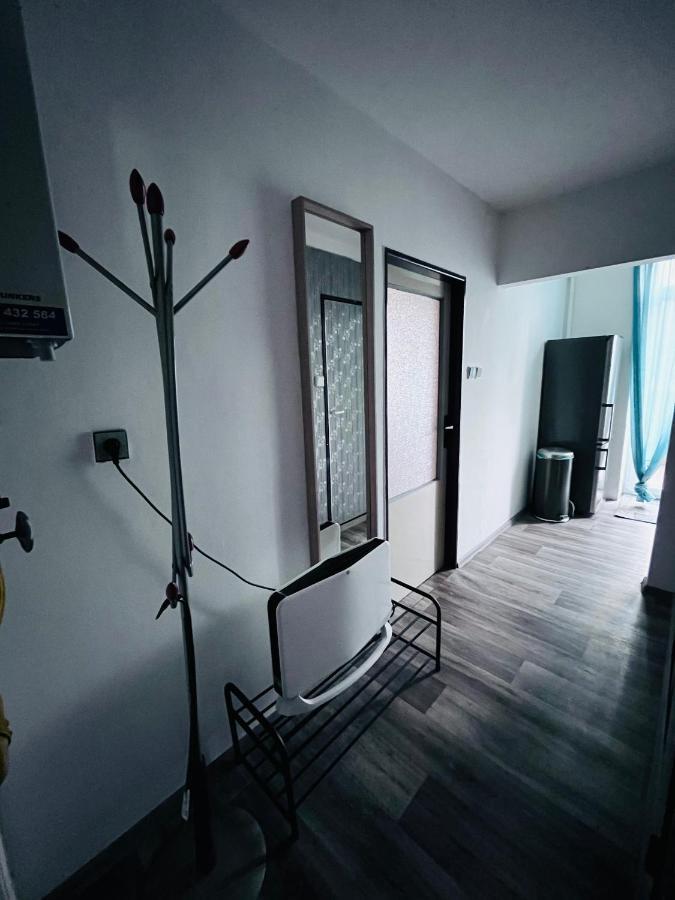 Apartma Luxura ジェチーン エクステリア 写真